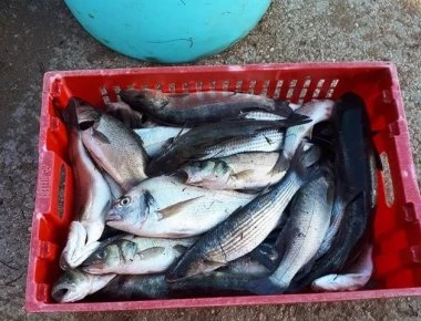 Το ελληνικό προϊόν που κοστίζει 140 ευρώ το κιλό και η παρασκευή του είναι μοναδική ιεροτελεστία